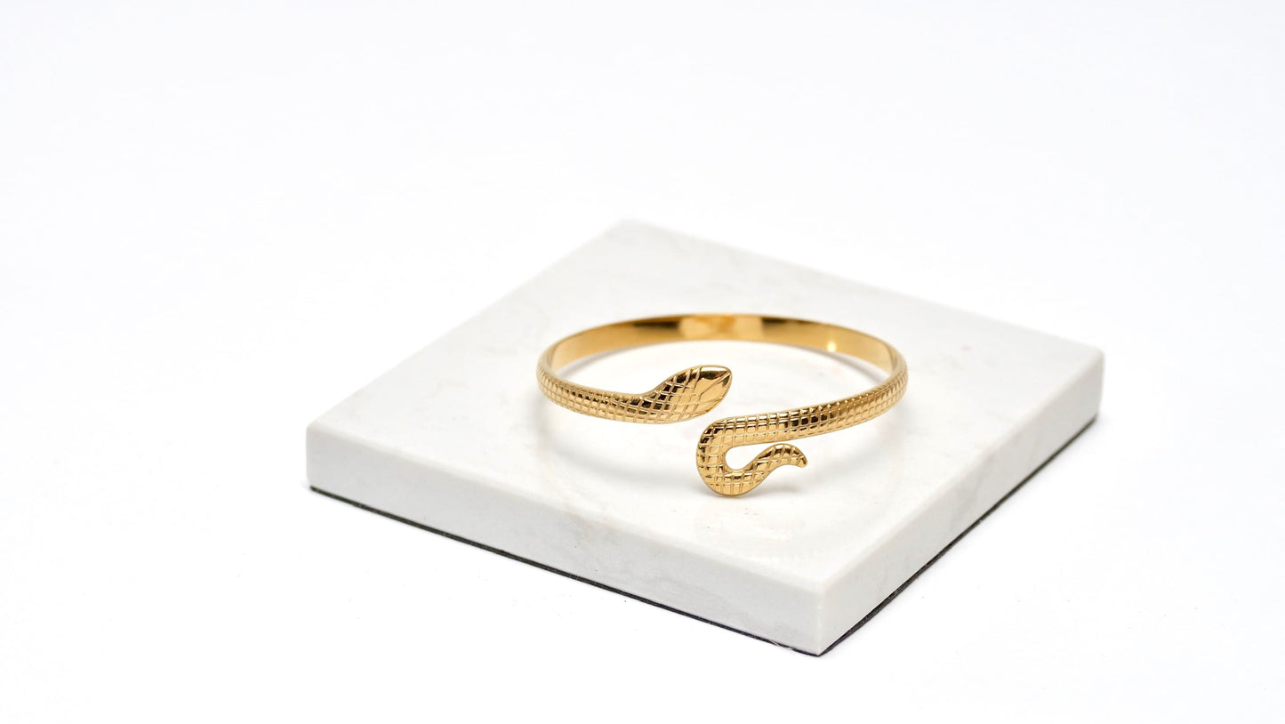 Snake Bracelet