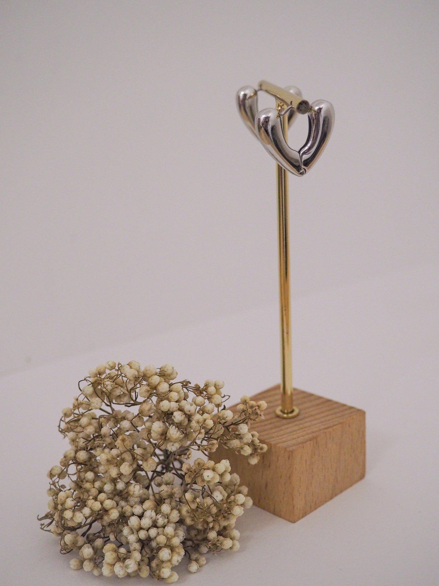 Pendientes Paal