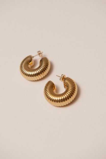 Pendientes Oruga big