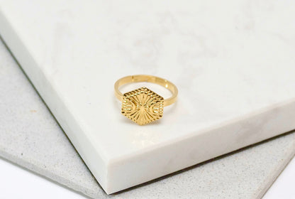 Agra Ring