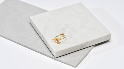 Palermo ring
