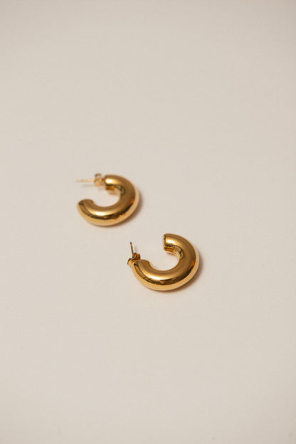 Pendientes Alonis